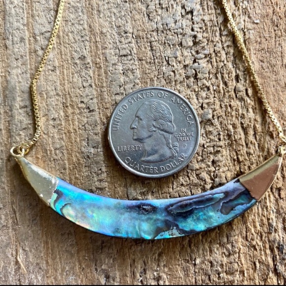 Abalone Shell Adjustable Crescent Gold Necklace - Picture 4 of 4
